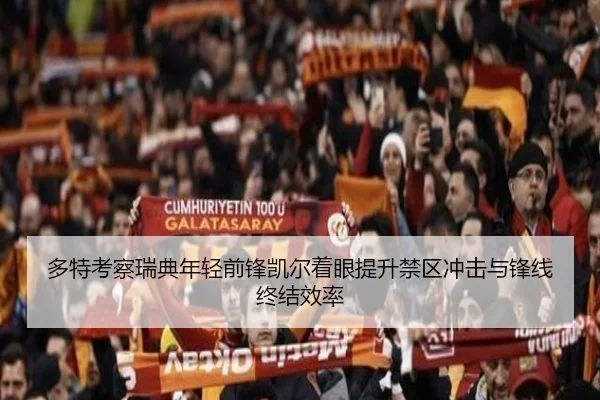 多特考察瑞典年轻前锋凯尔着眼提升禁区冲击与锋线终结效率